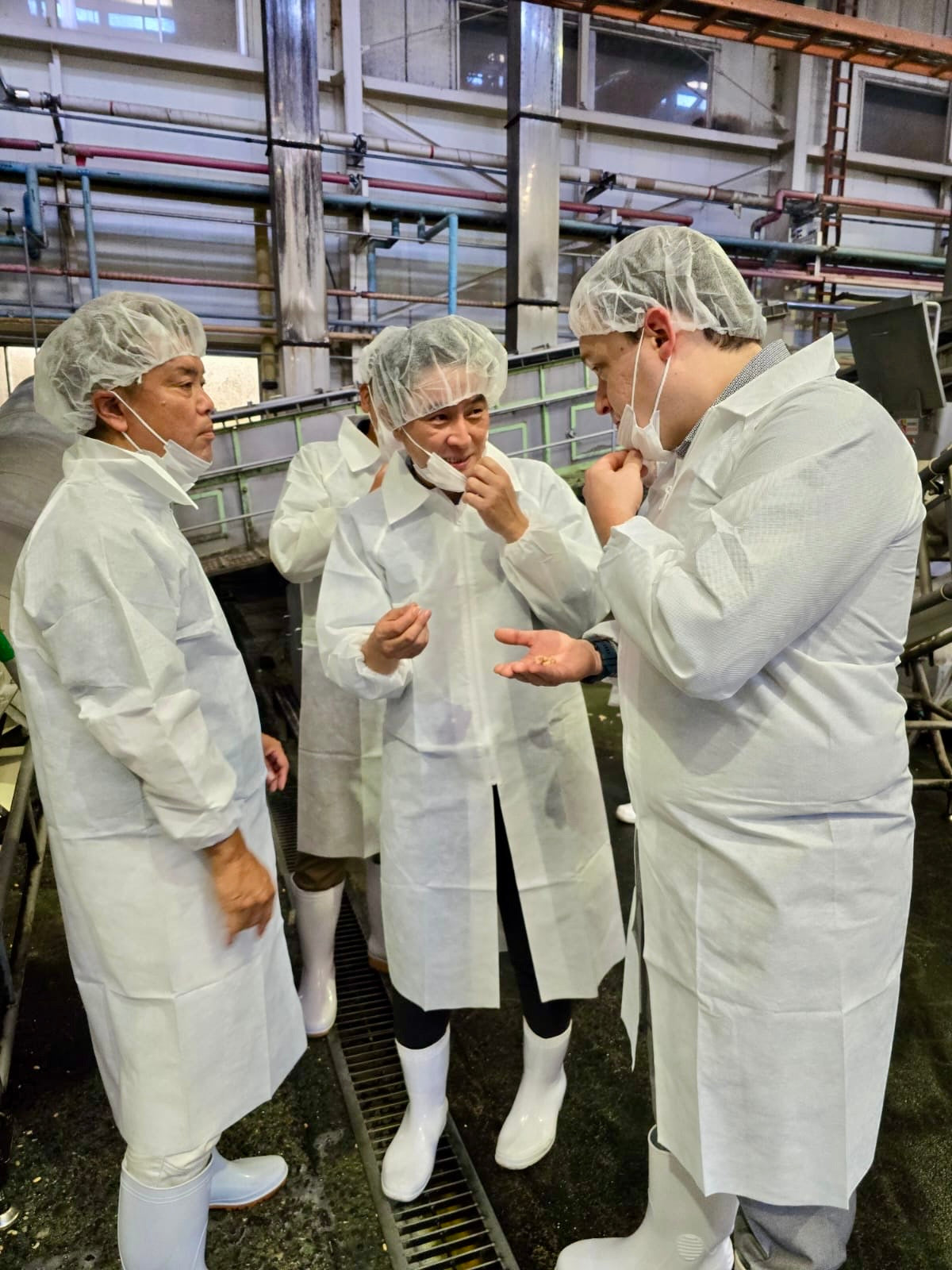 Curtis Bell tours the miso manufacturer in Kofu, Japan, where MisoHeat sources their aka (red) miso. They are tasting the soy beans used in the ingredients